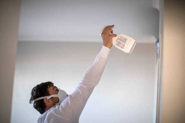 Best Fast Mold Removal  in Long Hill, CT