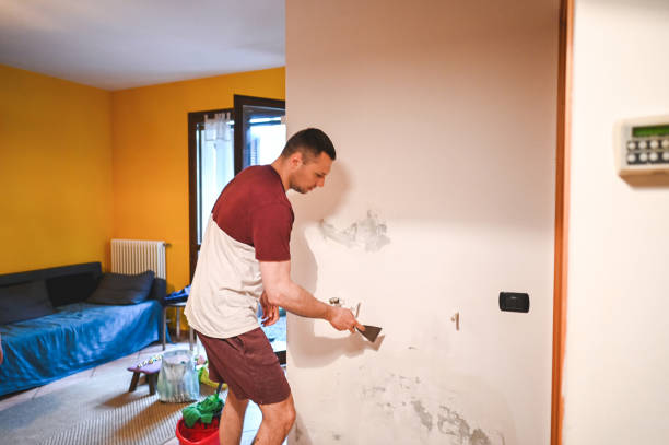 Best Mold Testing  in Long Hill, CT